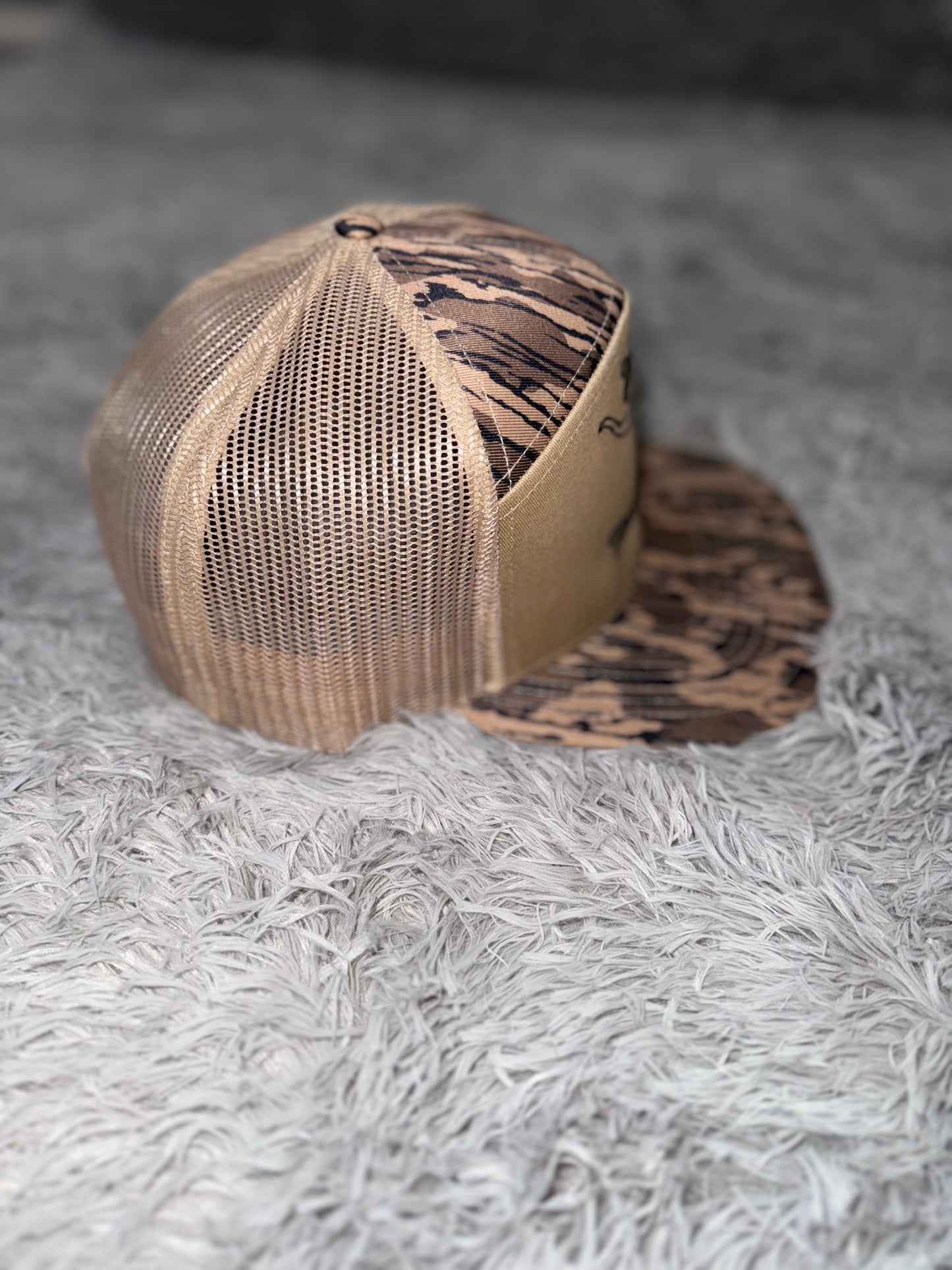 Bottomland and tan 7 panel Longhorn